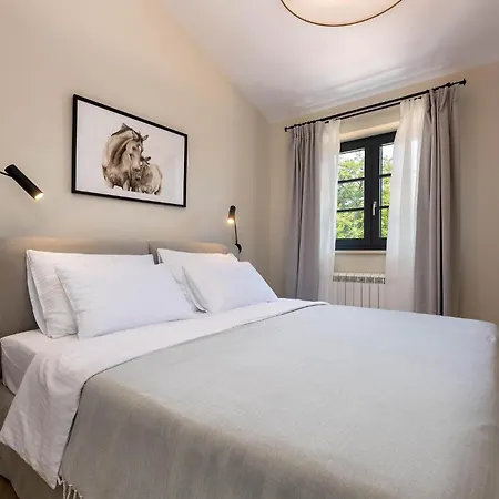 Pet Friendly In