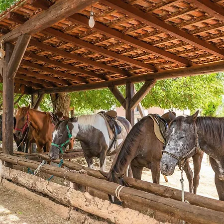 Pet Friendly In * Manjadvorci